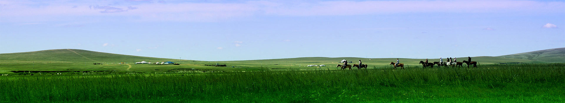 <p>山东畅客旅游咨询有限公司</p>